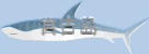 miyakojima